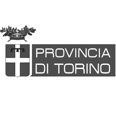 provincia-torino